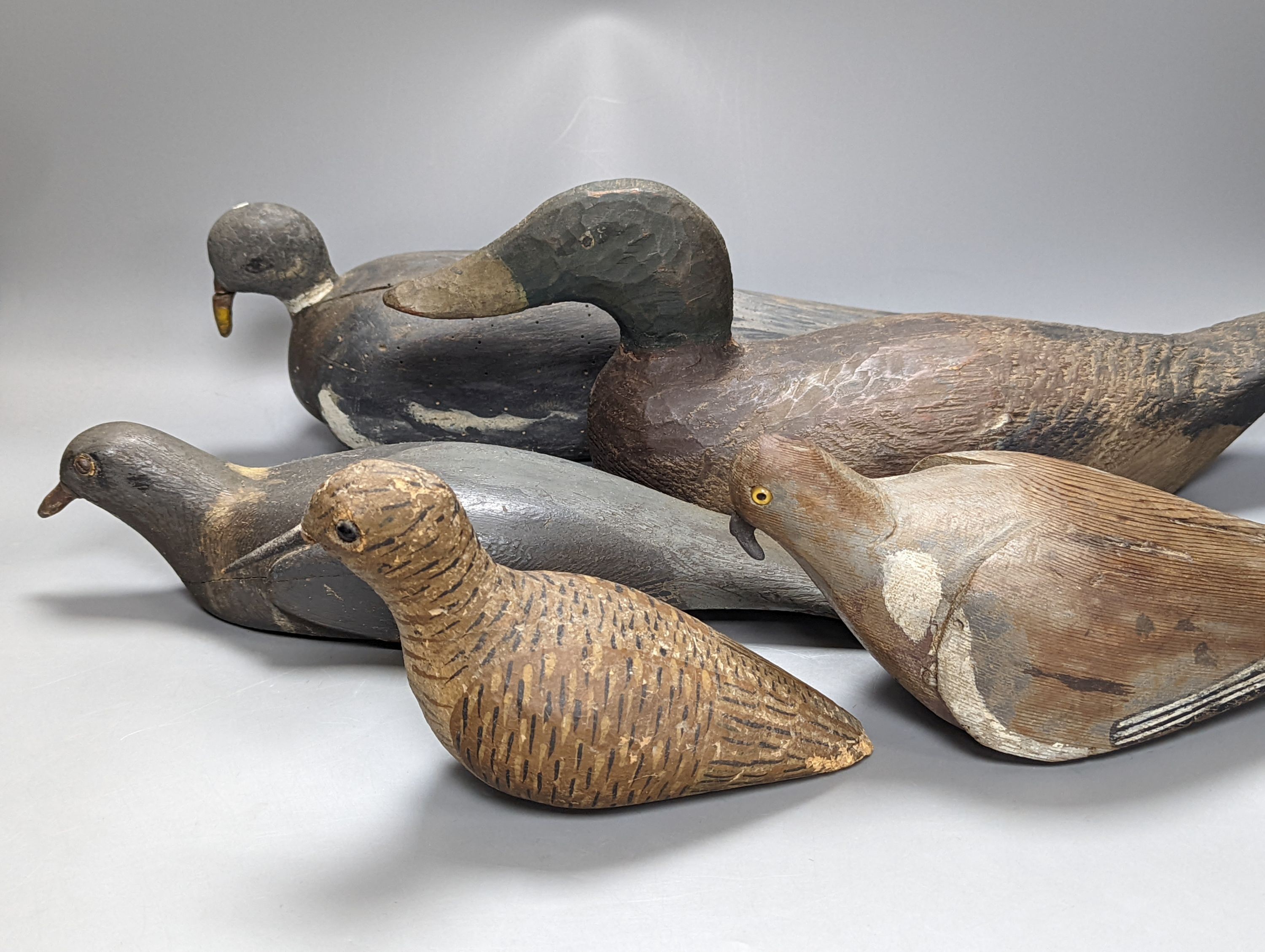 Three early 20th century decoy pigeons, largest 38cm a decoy duck, 43.5cm and a similar woodcock (5)